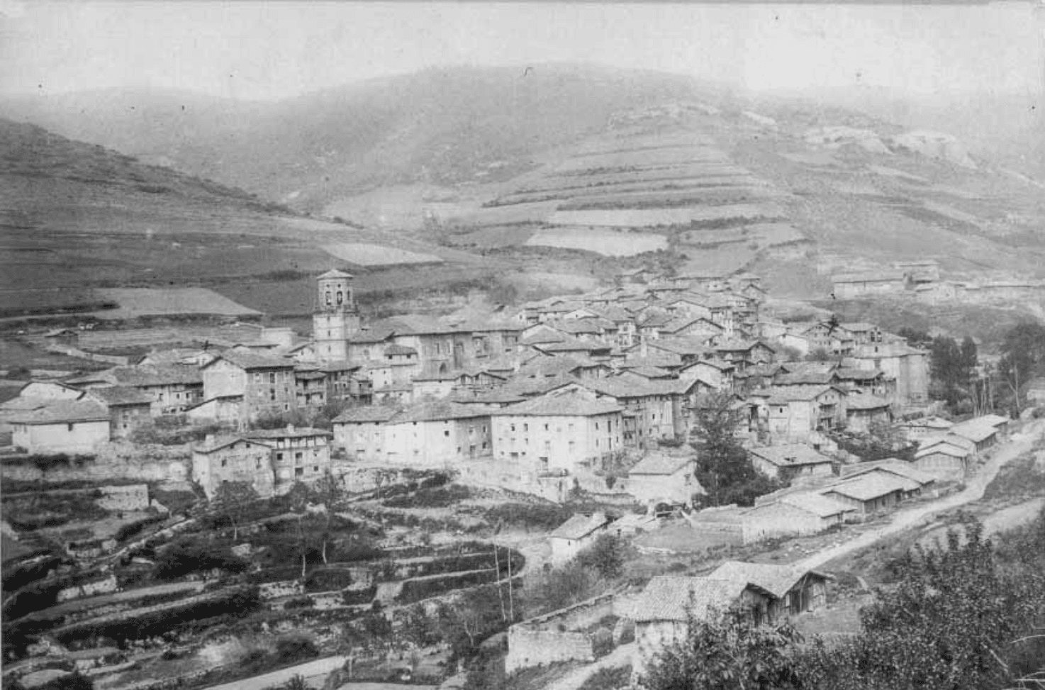 Imagen de la sección de genealogía de Pedroso